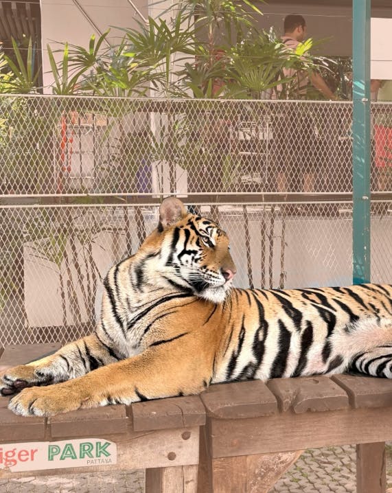 Safari World Bangkok